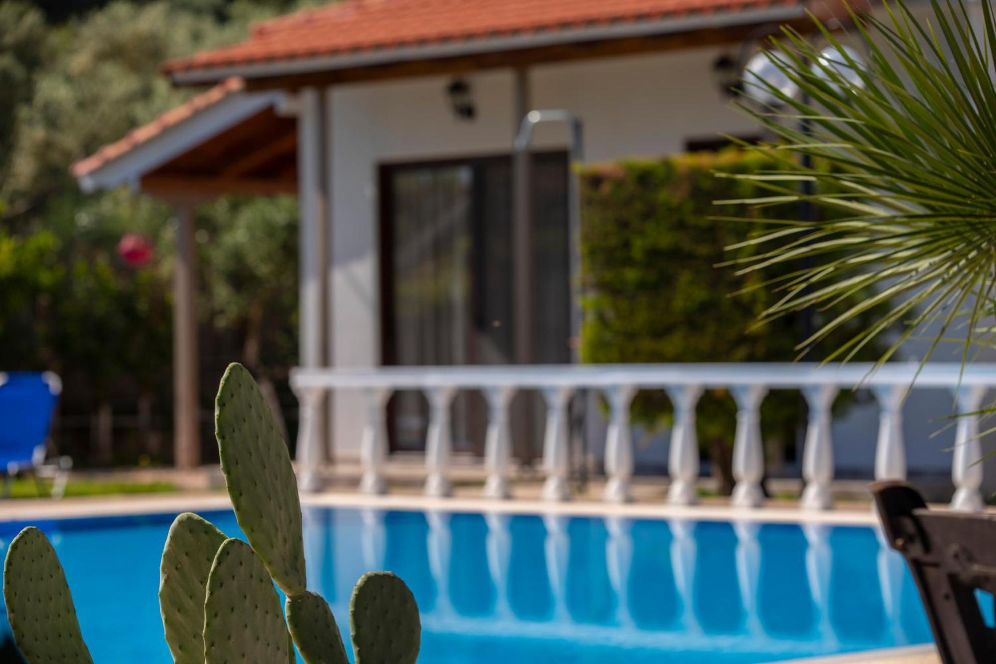 Villa Dimitris Apartments & Bungalows Frínion Buitenkant foto